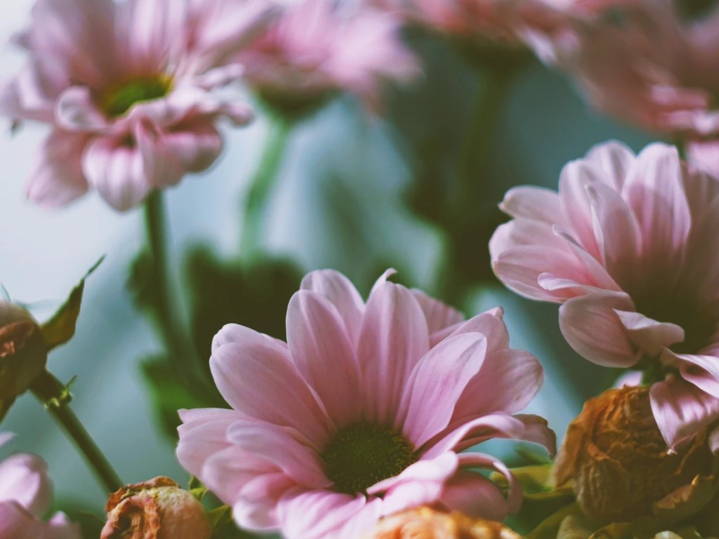 L&rsquo;Evangile expliqué sans mots&nbsp;bizarres.